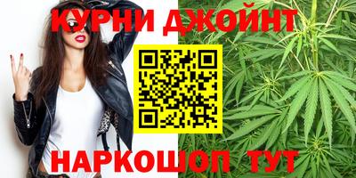 трава Кингисепп