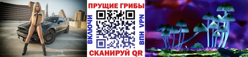 Галлюциногенные грибы Psilocybine cubensis  мега вход  Лыткарино 