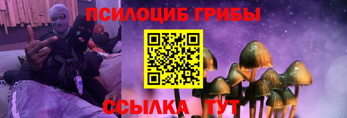 Галлюциногенные грибы мицелий  Вход с VPN  Лыткарино 